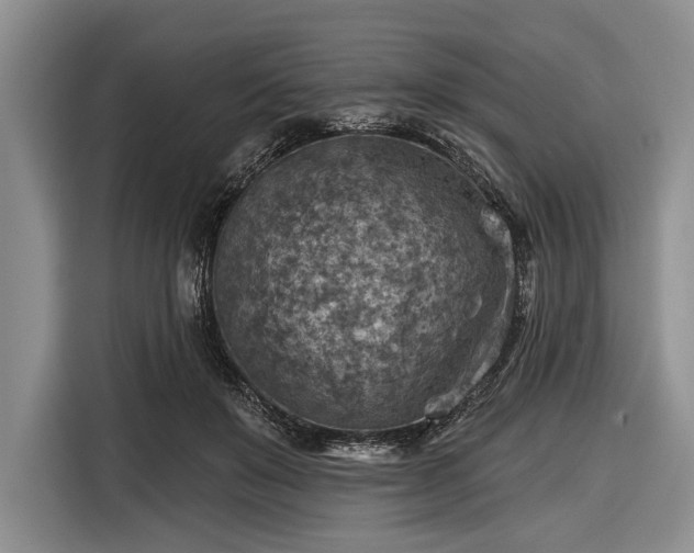 X0000116550503200912171352