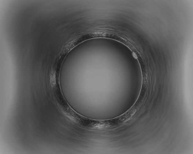 X0000116550504200912171352