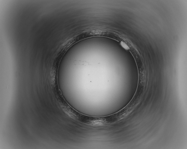 X0000116550505200912171352