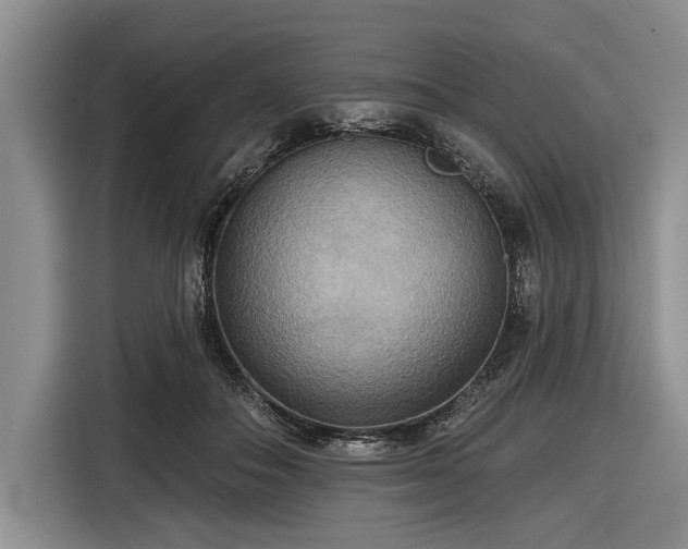 X0000116550506200912171352