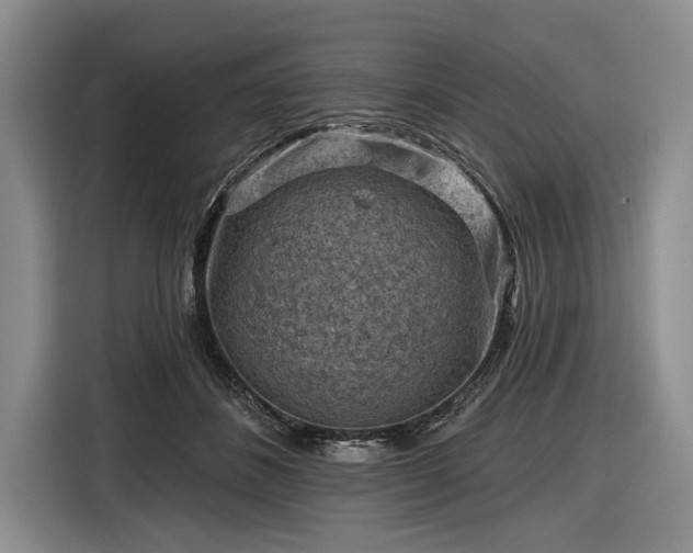 X0000116550508200912171352