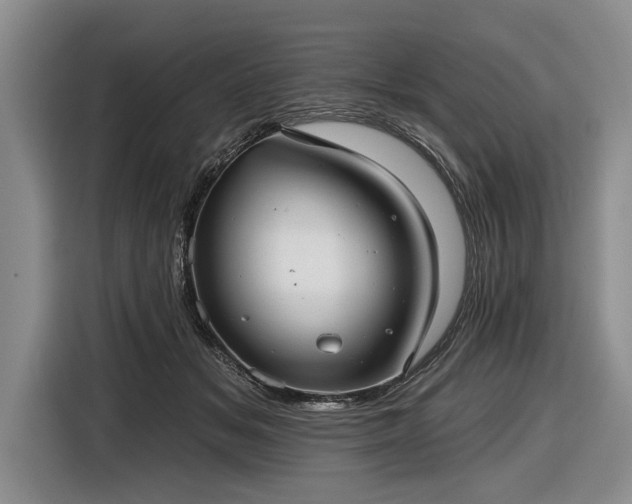 X0000116550509200912171352