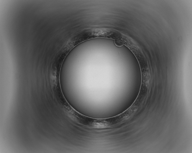 X0000116550510200912171352