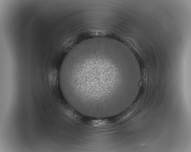 X0000116550511200912171352