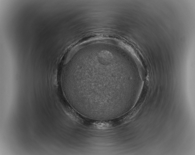 X0000116550512200912171351