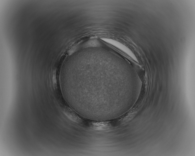 X0000116550516200912171351