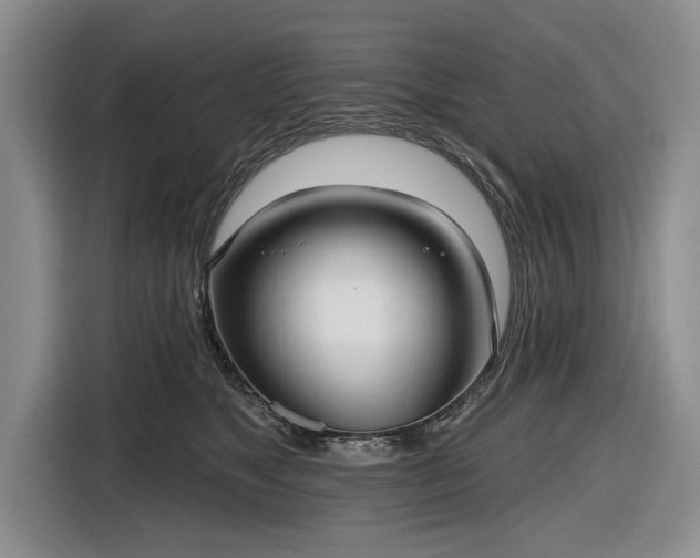 X0000116550517200912171351