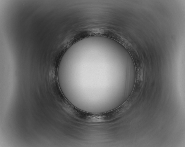 X0000116550518200912171351