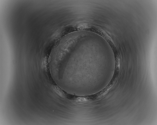 X0000116550519200912171351