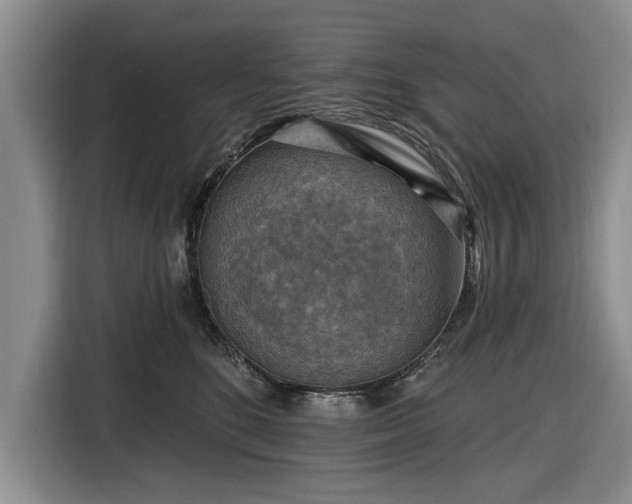 X0000116550520200912171351