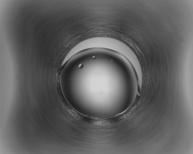 X0000116550521200912171351