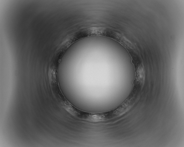 X0000116550522200912171351