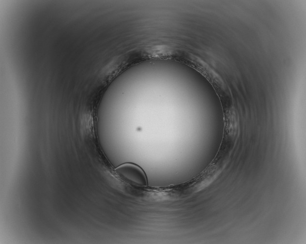 X0000116550523200912171351