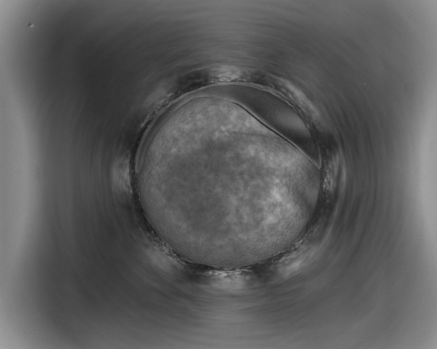 X0000116550524200912171351