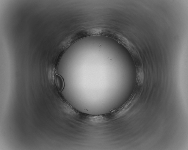 X0000116550525200912171351