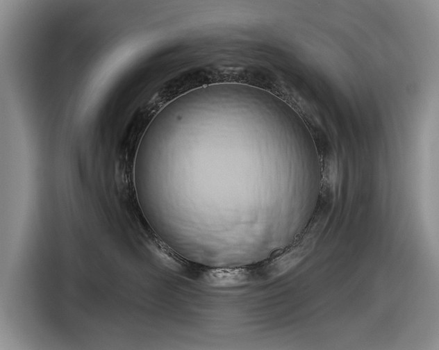 X0000116550526200912171351