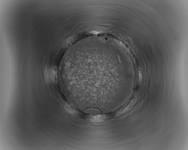 X0000116550527200912171351