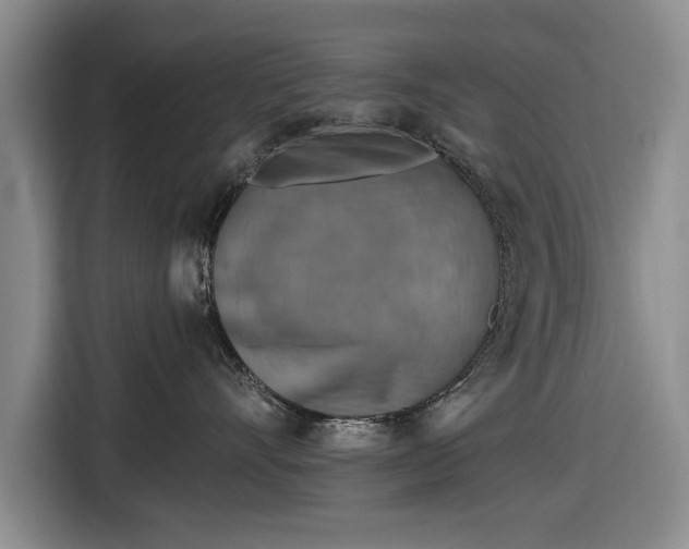 X0000116550528200912171351