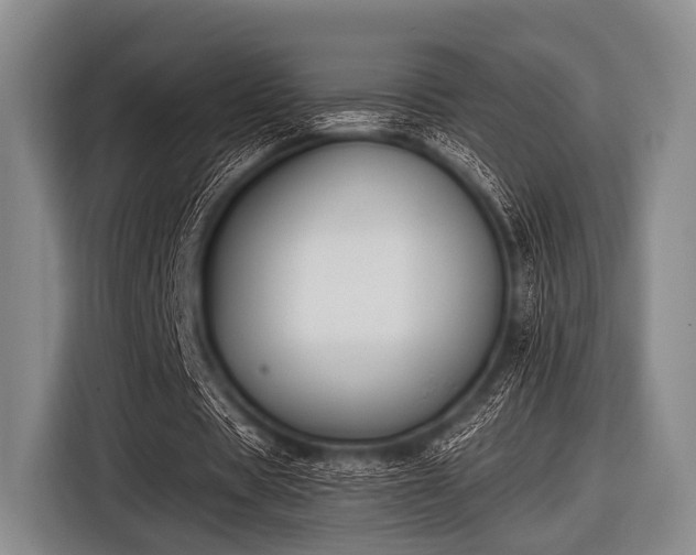 X0000116550529200912171351