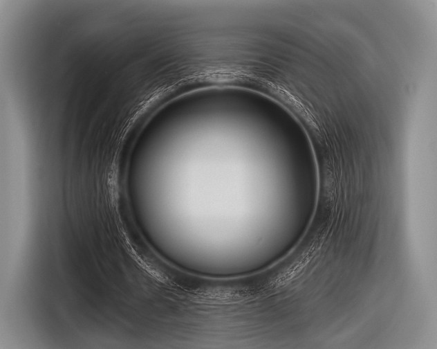 X0000116550530200912171351