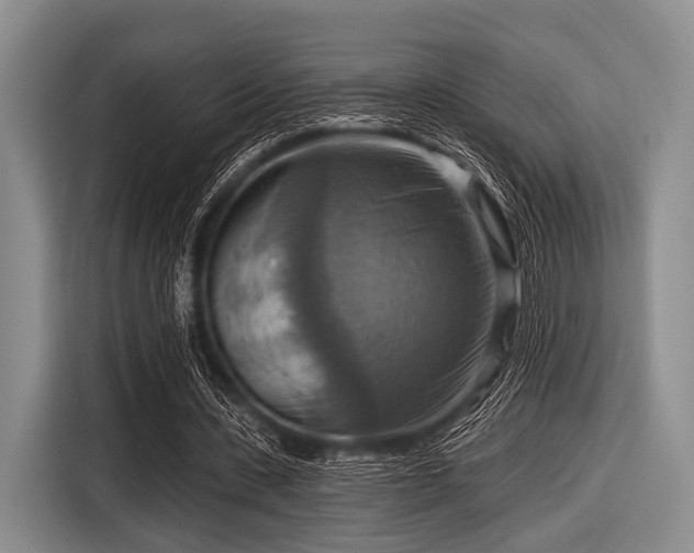 X0000116550531200912171351