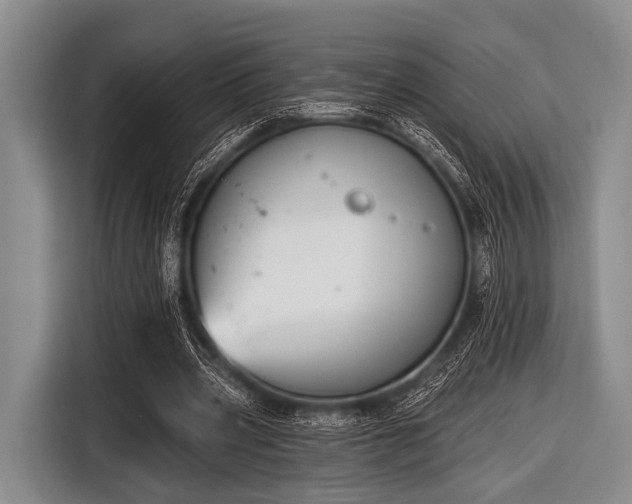 X0000116550533200912171351