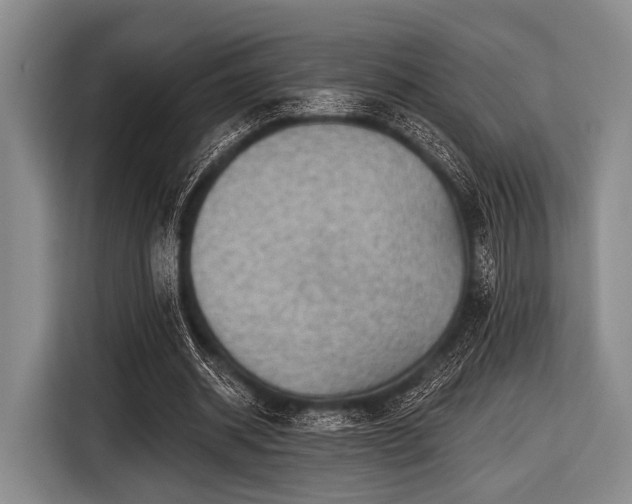 X0000116550534200912171351