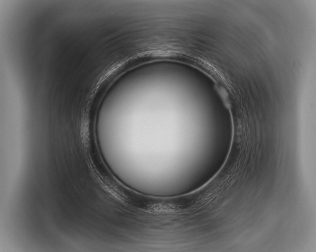 X0000116550535200912171351