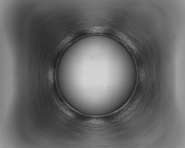 X0000116550537200912171351