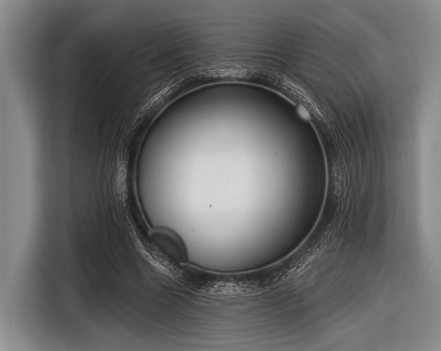 X0000116550538200912171351