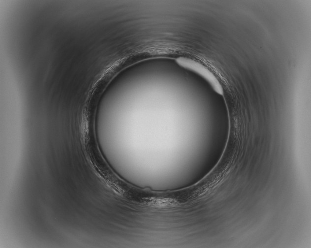 X0000116550539200912171351