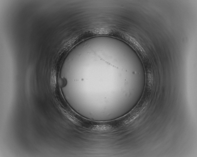 X0000116550541200912171351