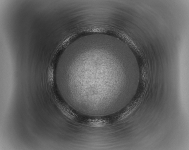 X0000116550542200912171351