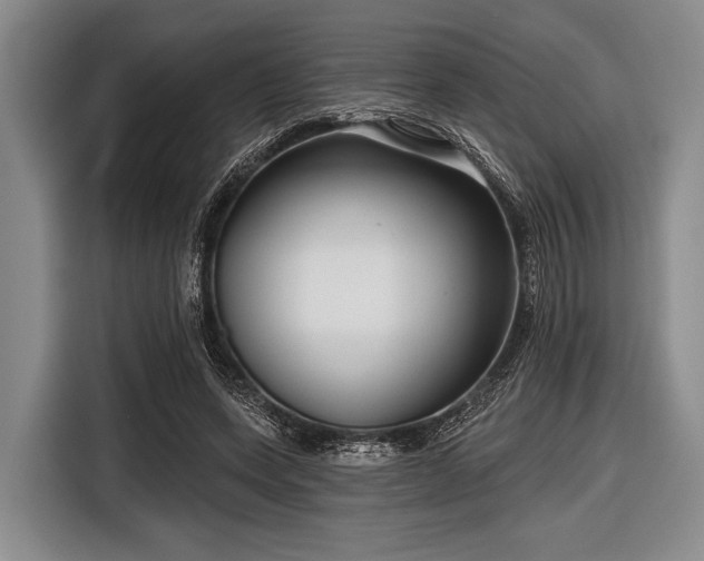 X0000116550543200912171351