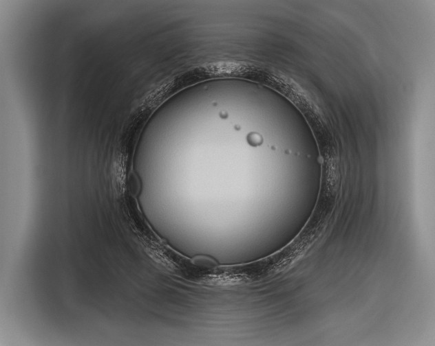 X0000116550545200912171351