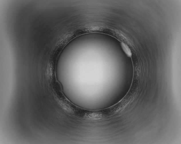 X0000116550546200912171351