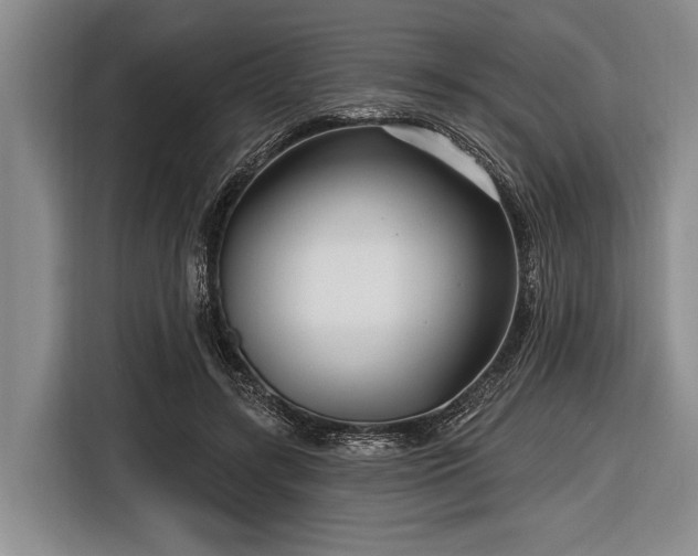 X0000116550547200912171351