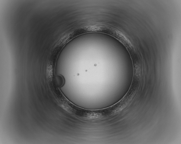 X0000116550549200912171351