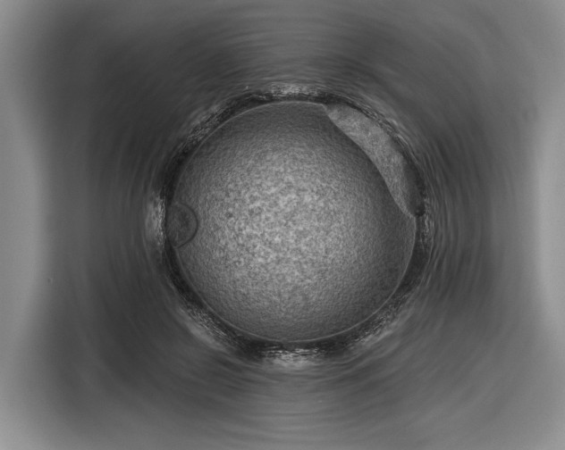 X0000116550550200912171351