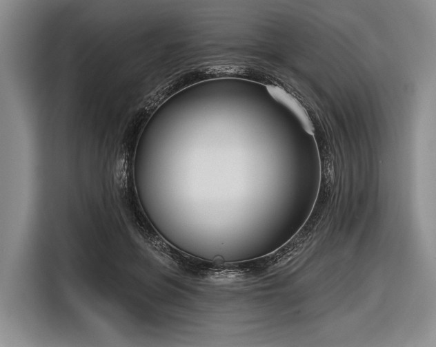 X0000116550551200912171351