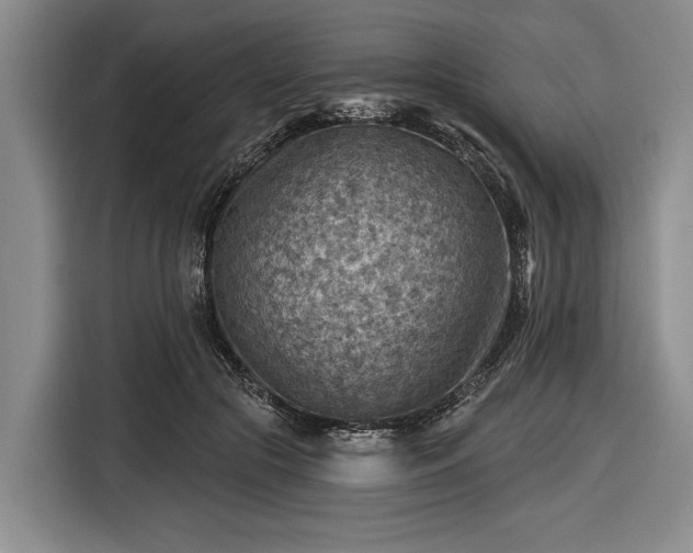 X0000116550553200912171351