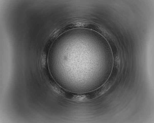 X0000116550554200912171351