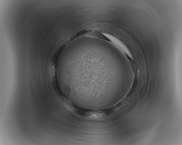 X0000116550555200912171351