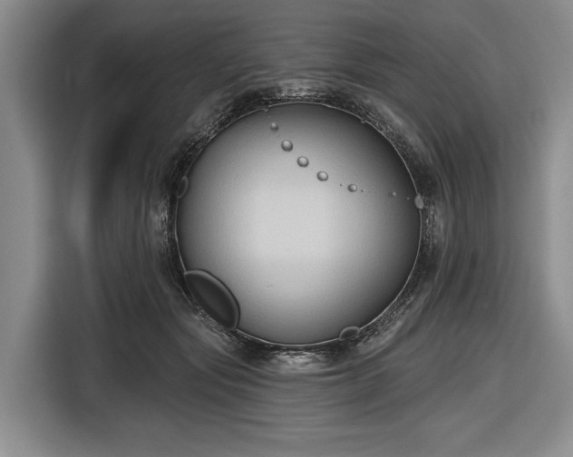 X0000116550557200912171351