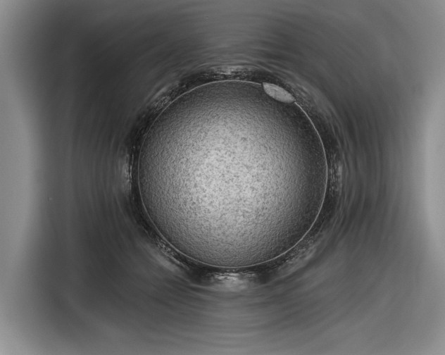 X0000116550558200912171351