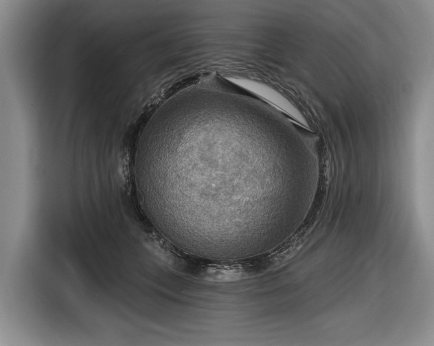 X0000116550559200912171351