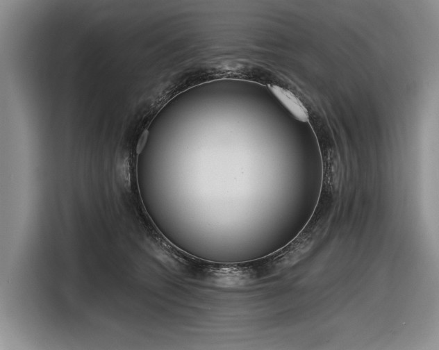 X0000116550562200912171351