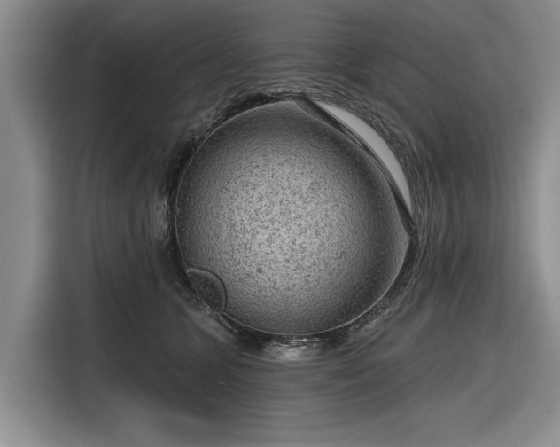 X0000116550563200912171351