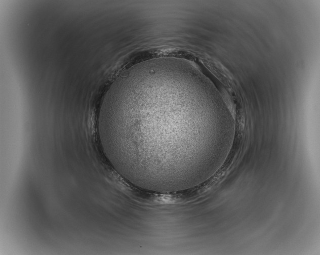 X0000116550565200912171351