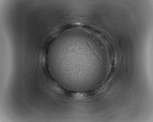 X0000116550566200912171351